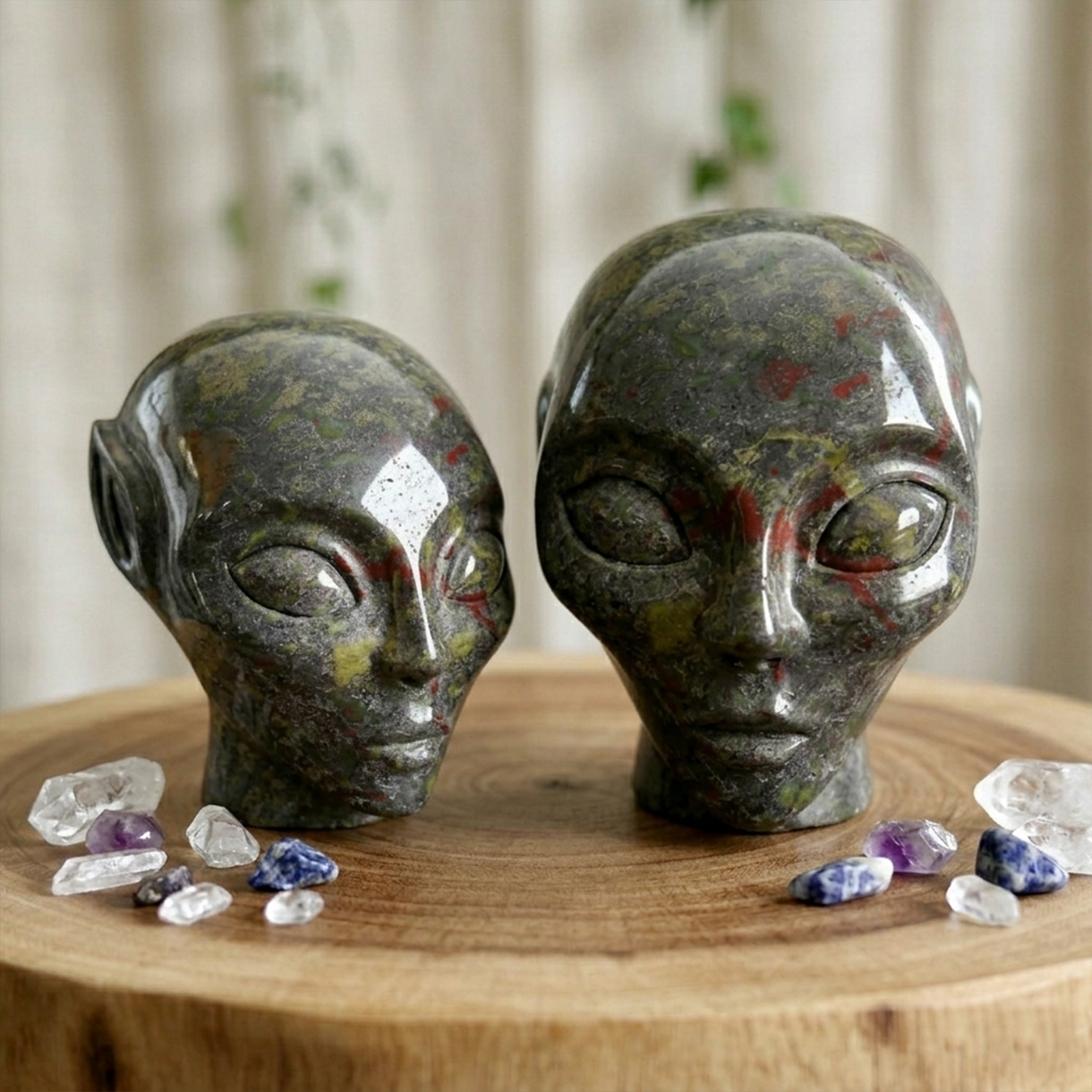 3 inch Dragon Bloodstone Alien Crystal Skull - Hand Carved Natrual tone