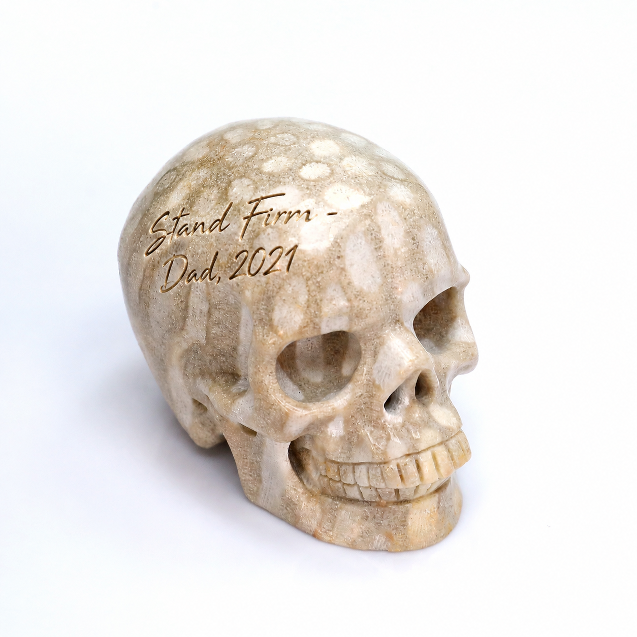7,6 cm großer Korallenfossil-Kristallschädel – handgeschnitzter Naturstein