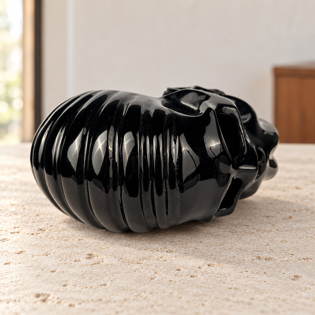 Black Obsidian Ammonite Octopus Skull