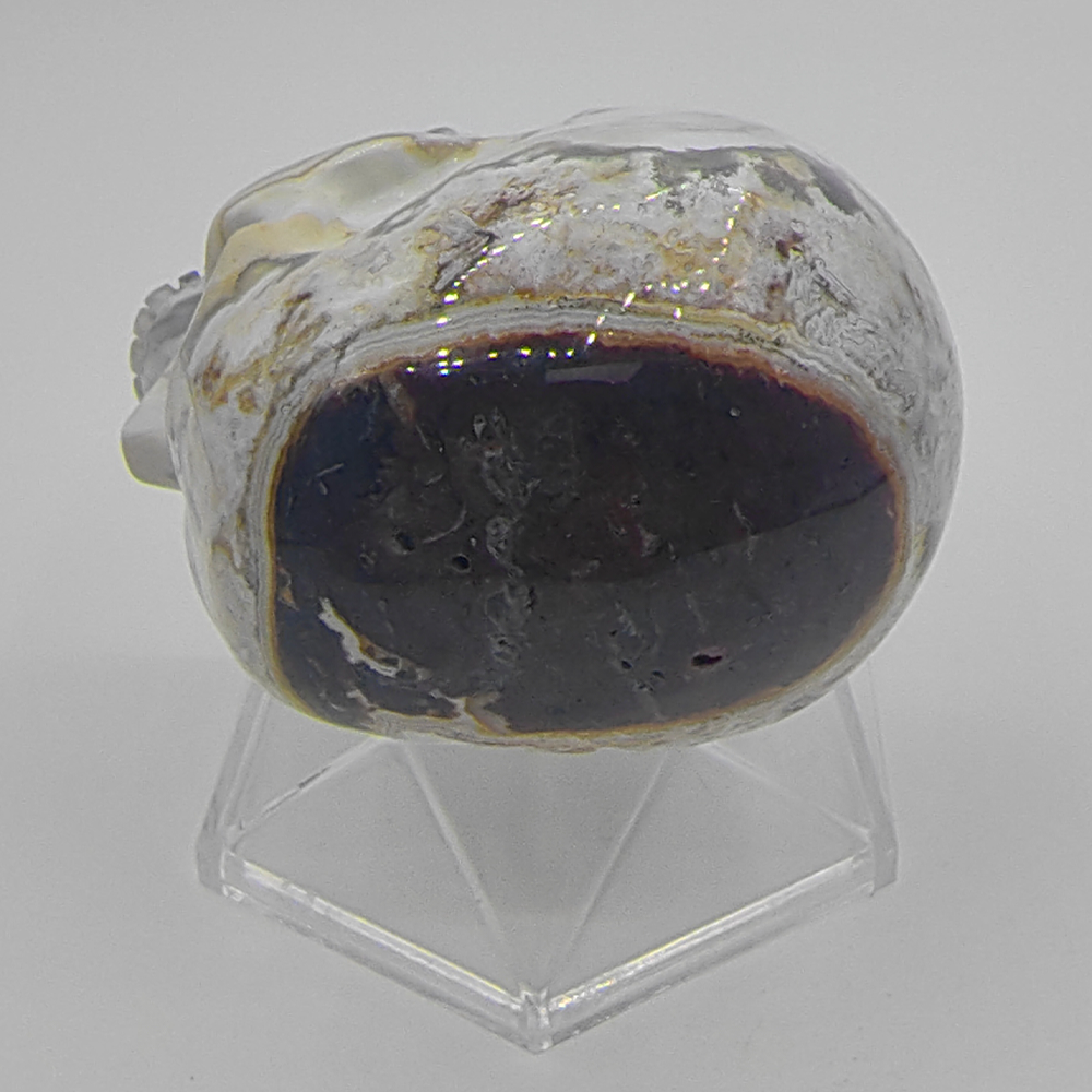 3 Inch Red Crazy Lace Agate Crystal Skull – Hand Carved Natural Stone