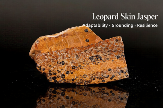 Leopard Skin Jasper | Stone of Grounded Adaptability and Inner Stability