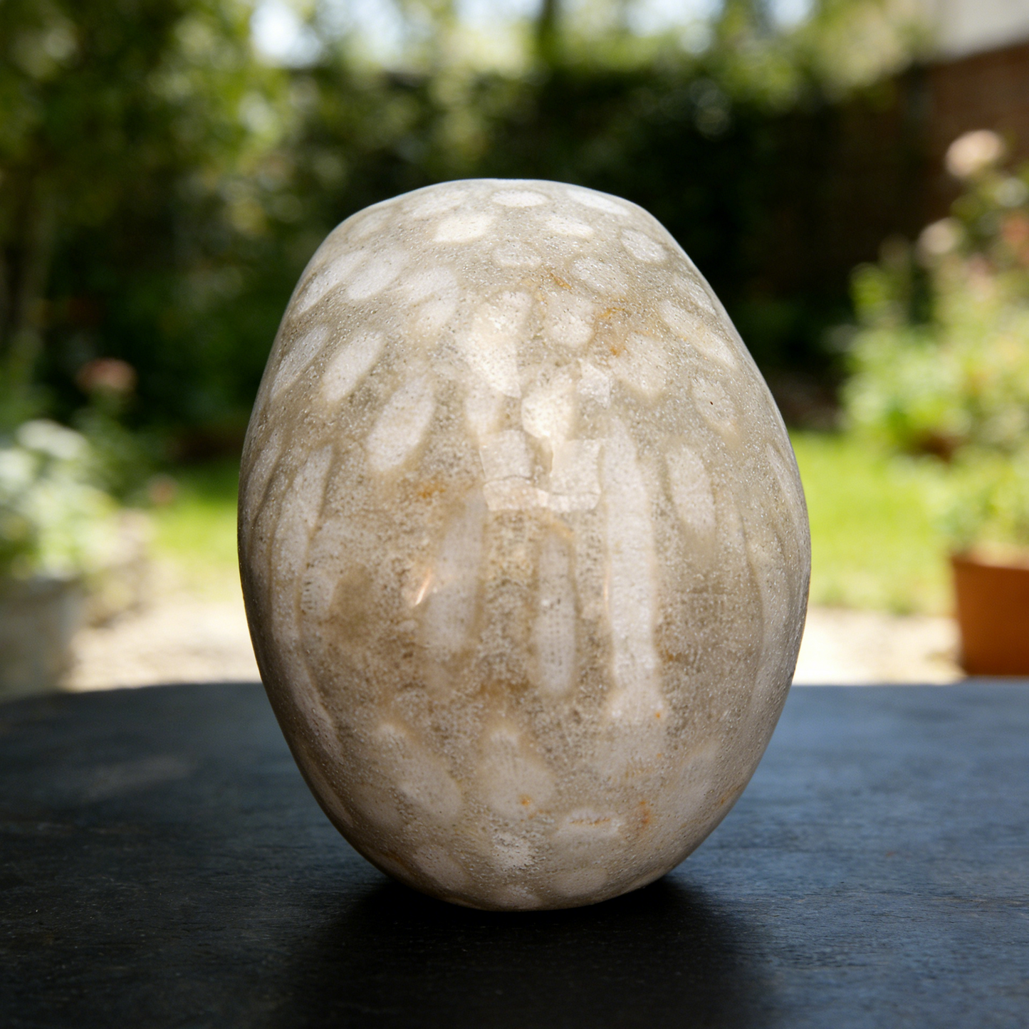 3 Inch Coral Fossil Crystal Skull – Hand Carved Natural Stone