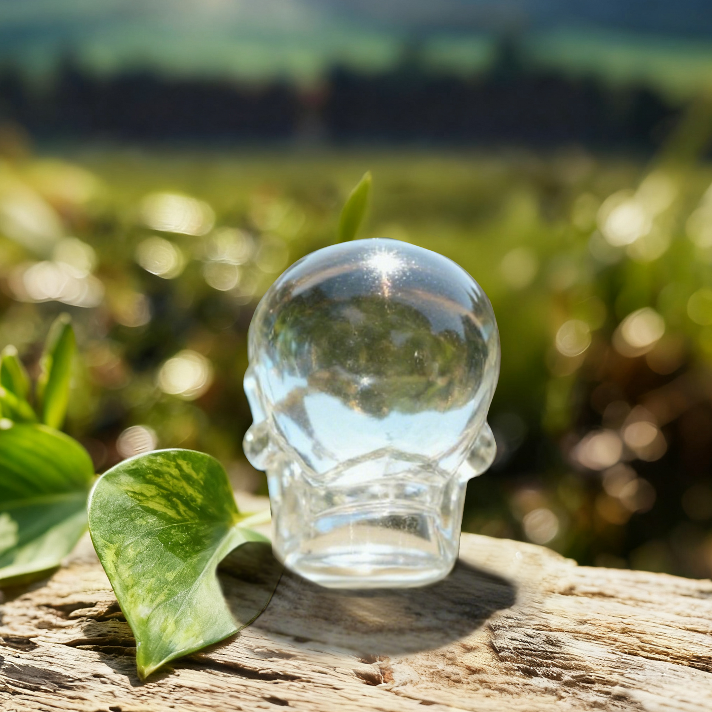 2 Inch Clear Quartz Crystal Skull