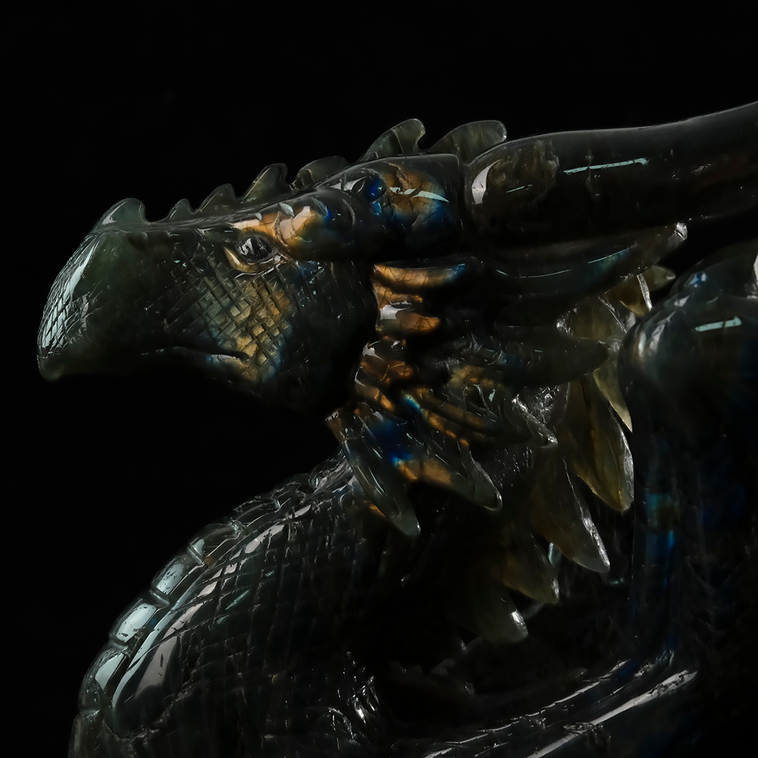 Labradorite Winged Dragon on Skull - Hand-Carved Natural Stone Sculpture