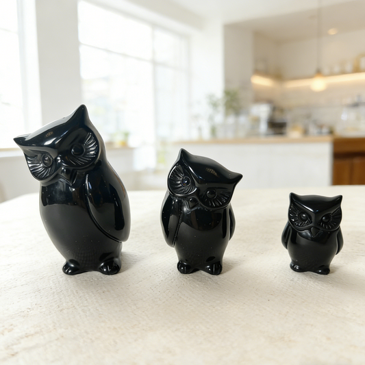 Black Obsidian Owl Family Carving