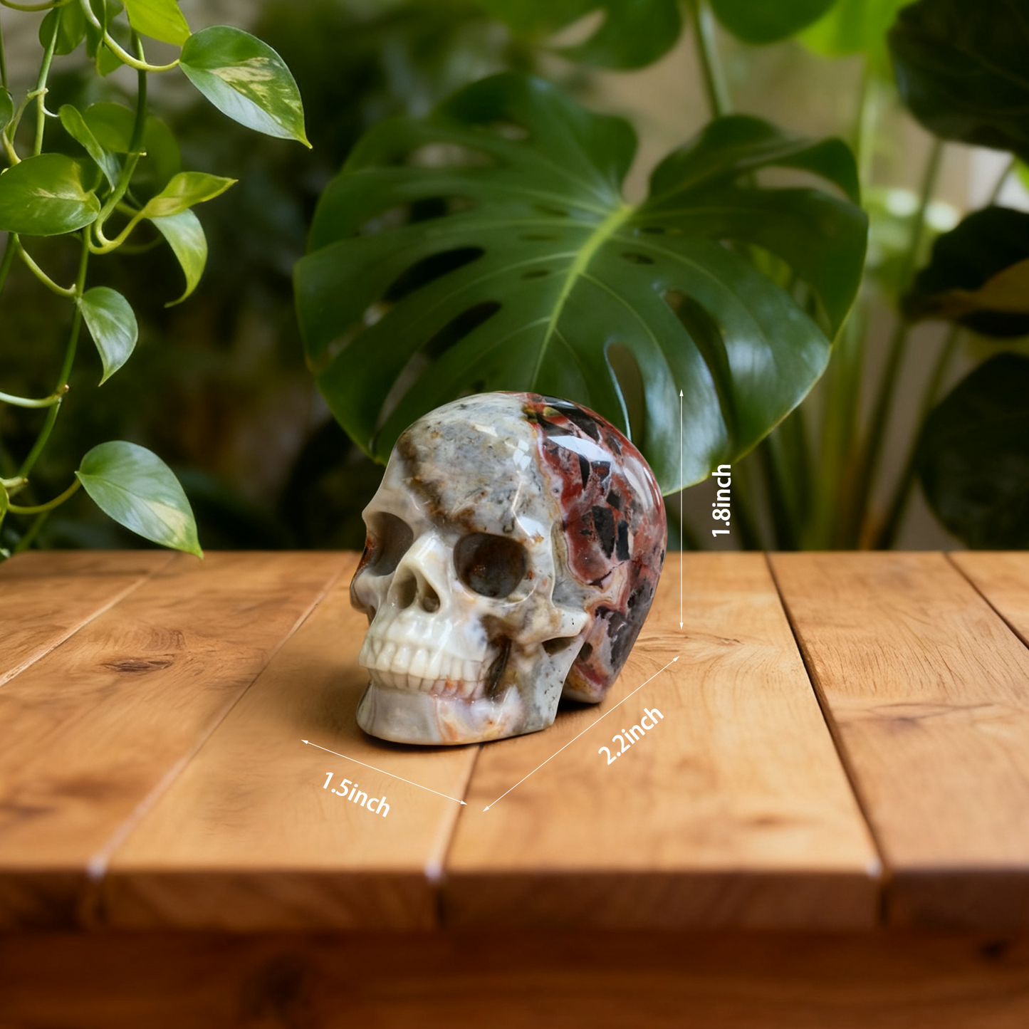 2 Inch Red Crazy Lace Agate Crystal Skull