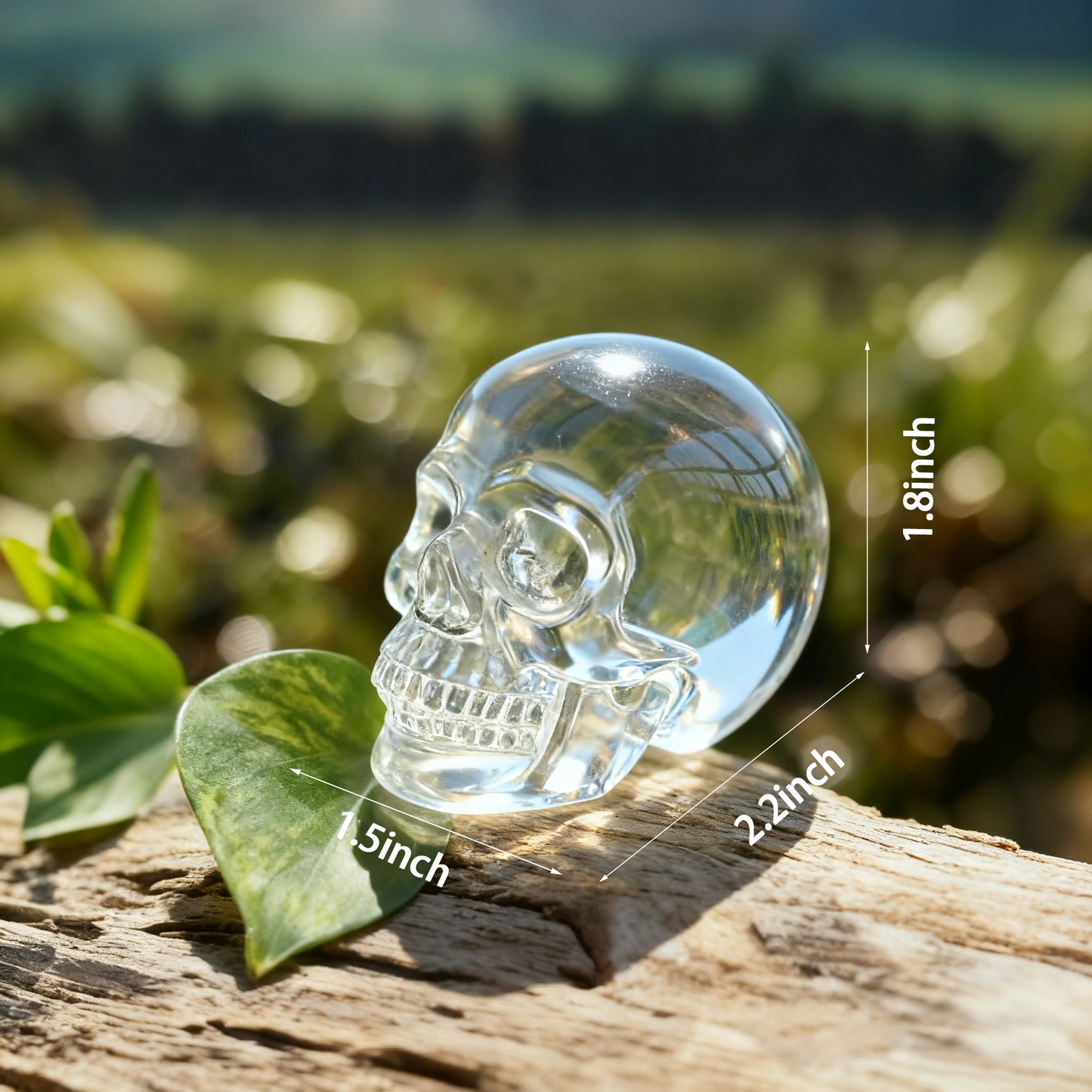 2 Inch Clear Quartz Crystal Skull