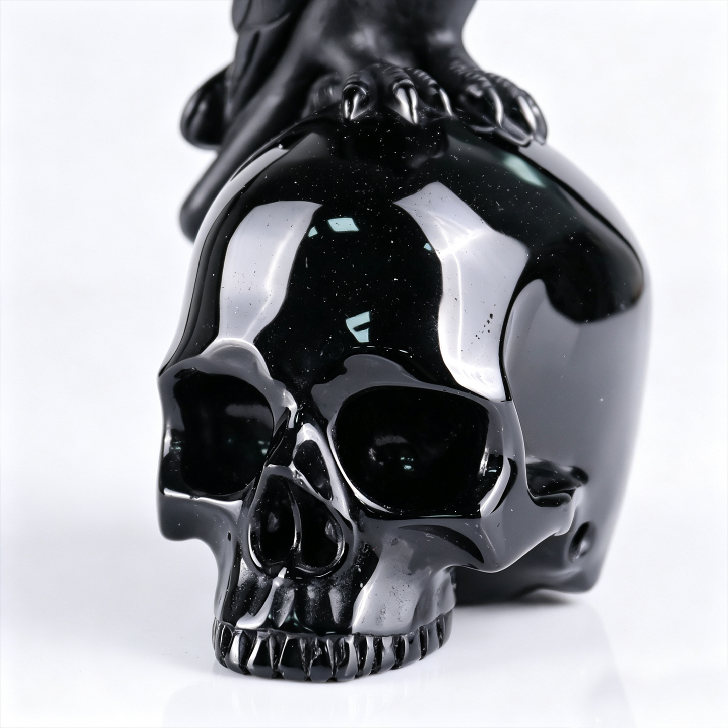 Black Obsidian Crystal Skull with Raven