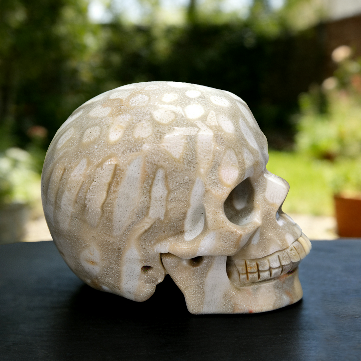 3 Inch Coral Fossil Crystal Skull – Hand Carved Natural Stone
