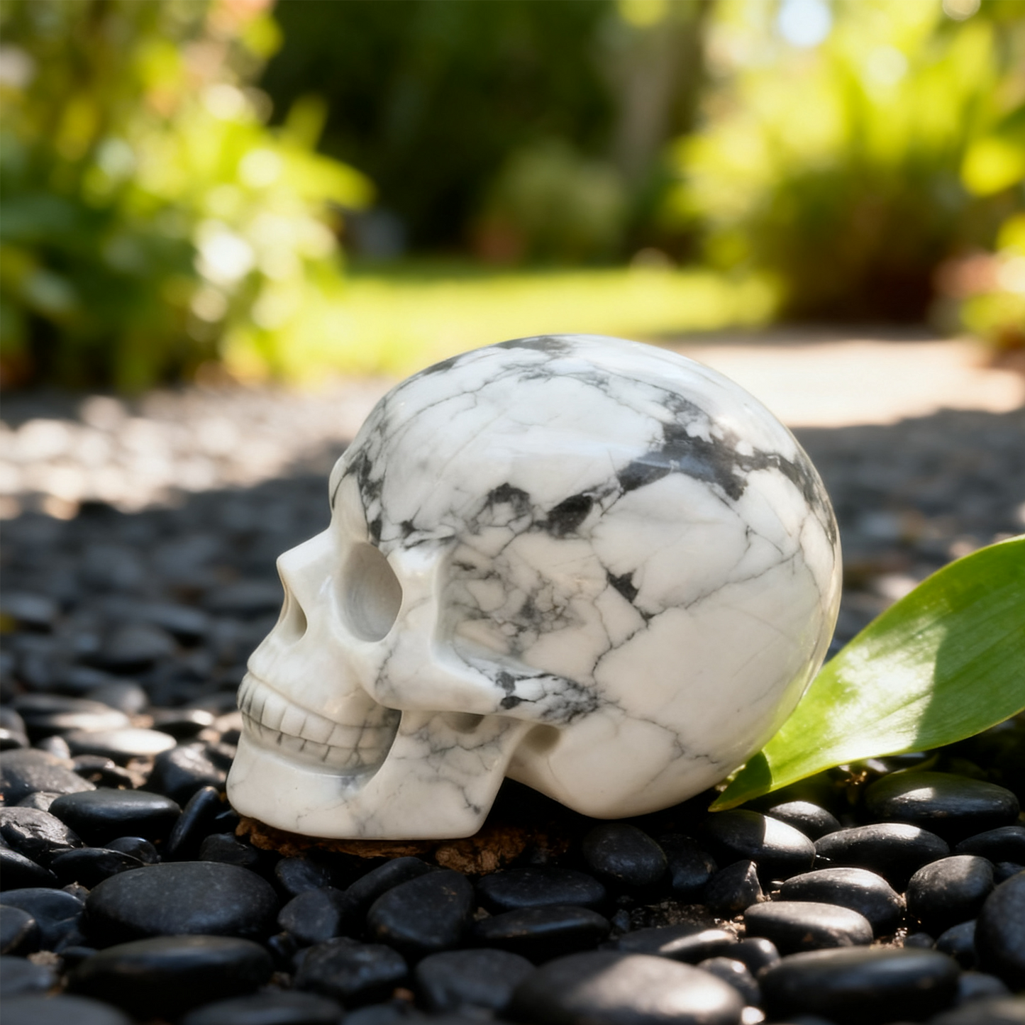3 Inch White Howlite Turquoise Crystal Skull