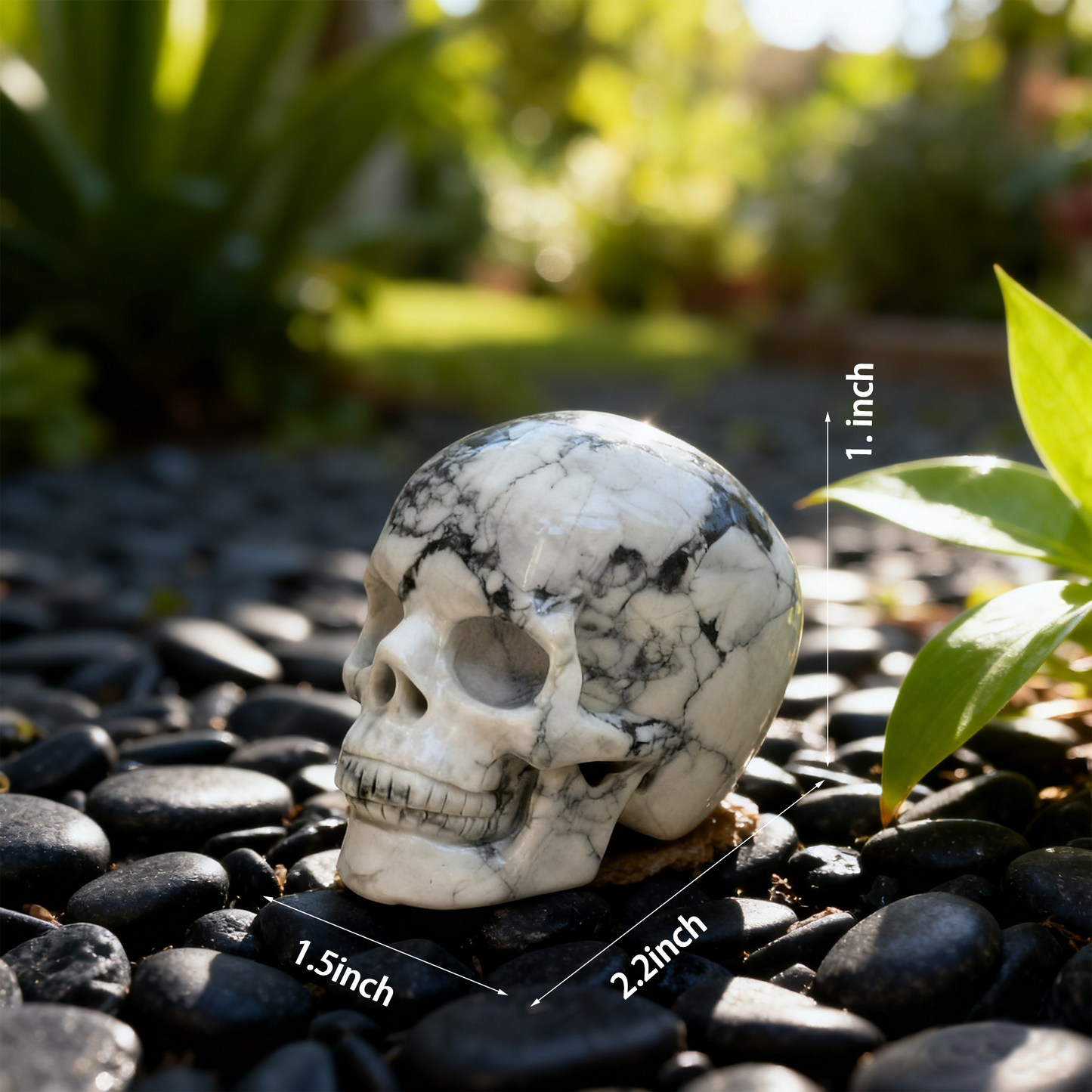 2 Inch White Howlite Turquoise Crystal Skull