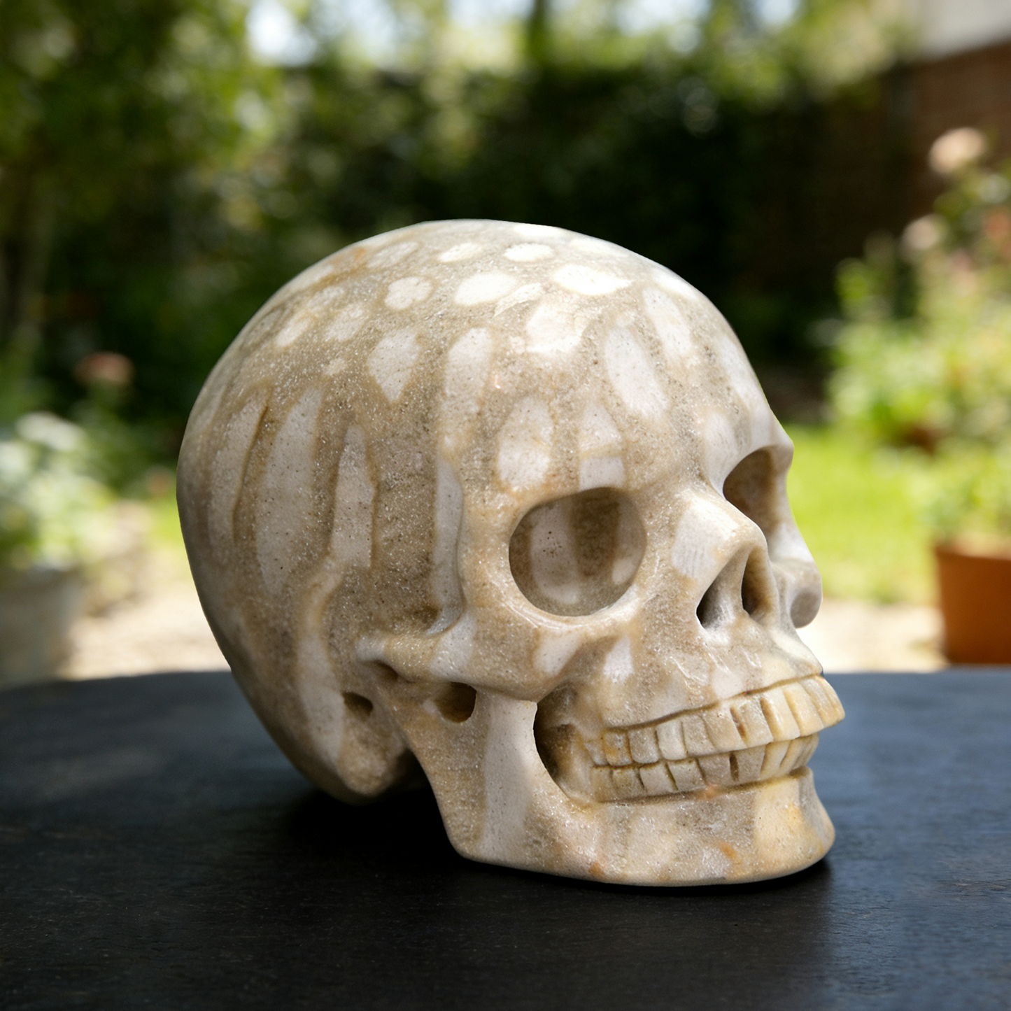 3 Inch Coral Fossil Crystal Skull – Hand Carved Natural Stone