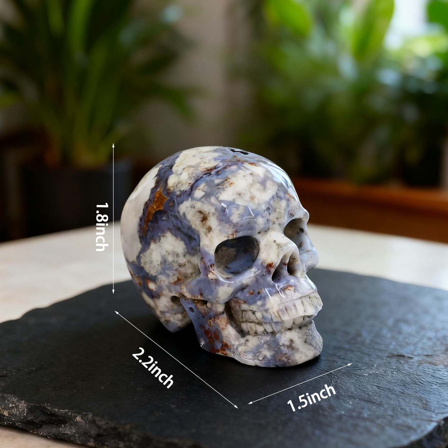 2 Inch Blue Flower Agate Crystal Skull – Mini Gemstone Skull