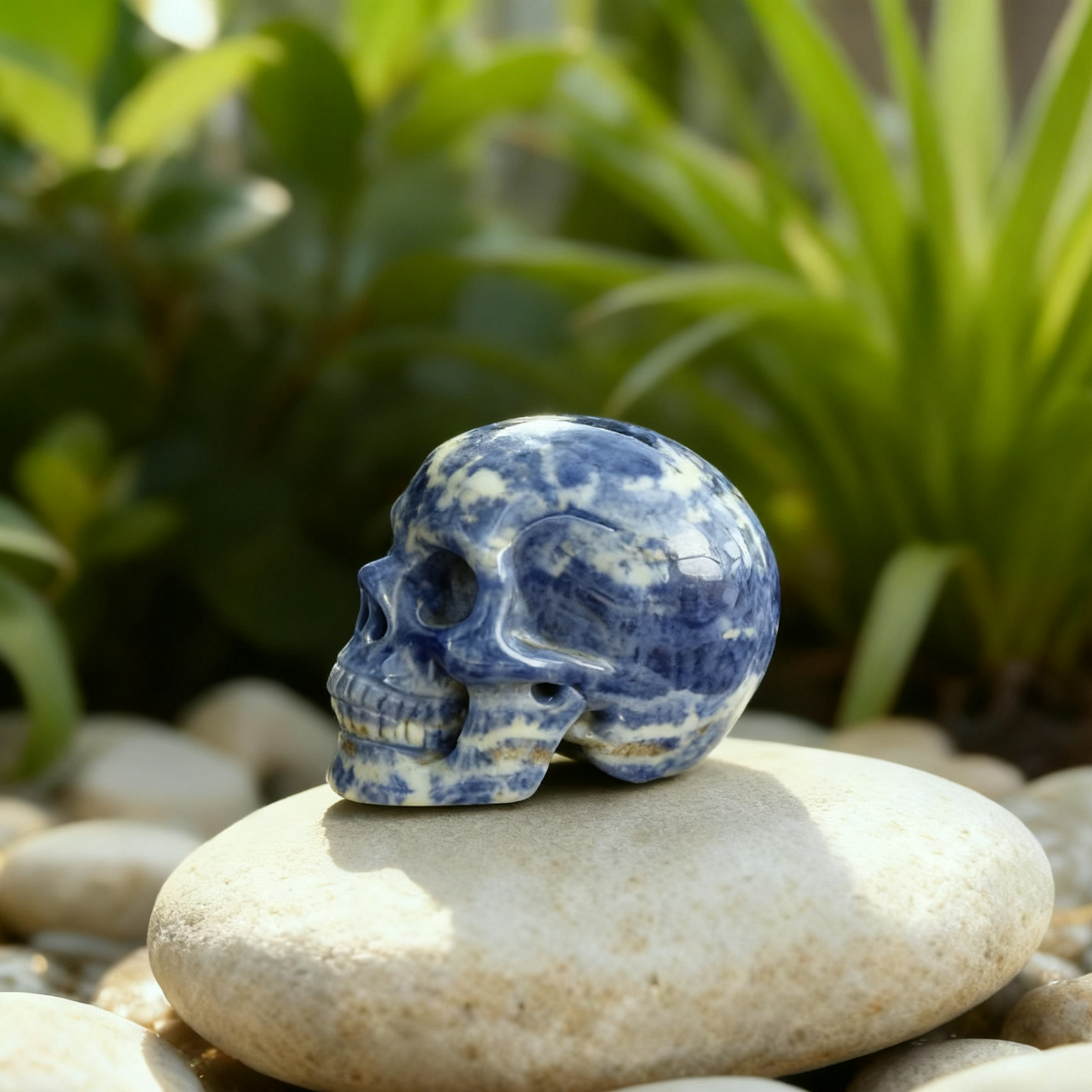 3 Inch Blue Lace Agate Crystal Skull