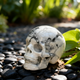 3 Inch White Howlite Turquoise Crystal Skull