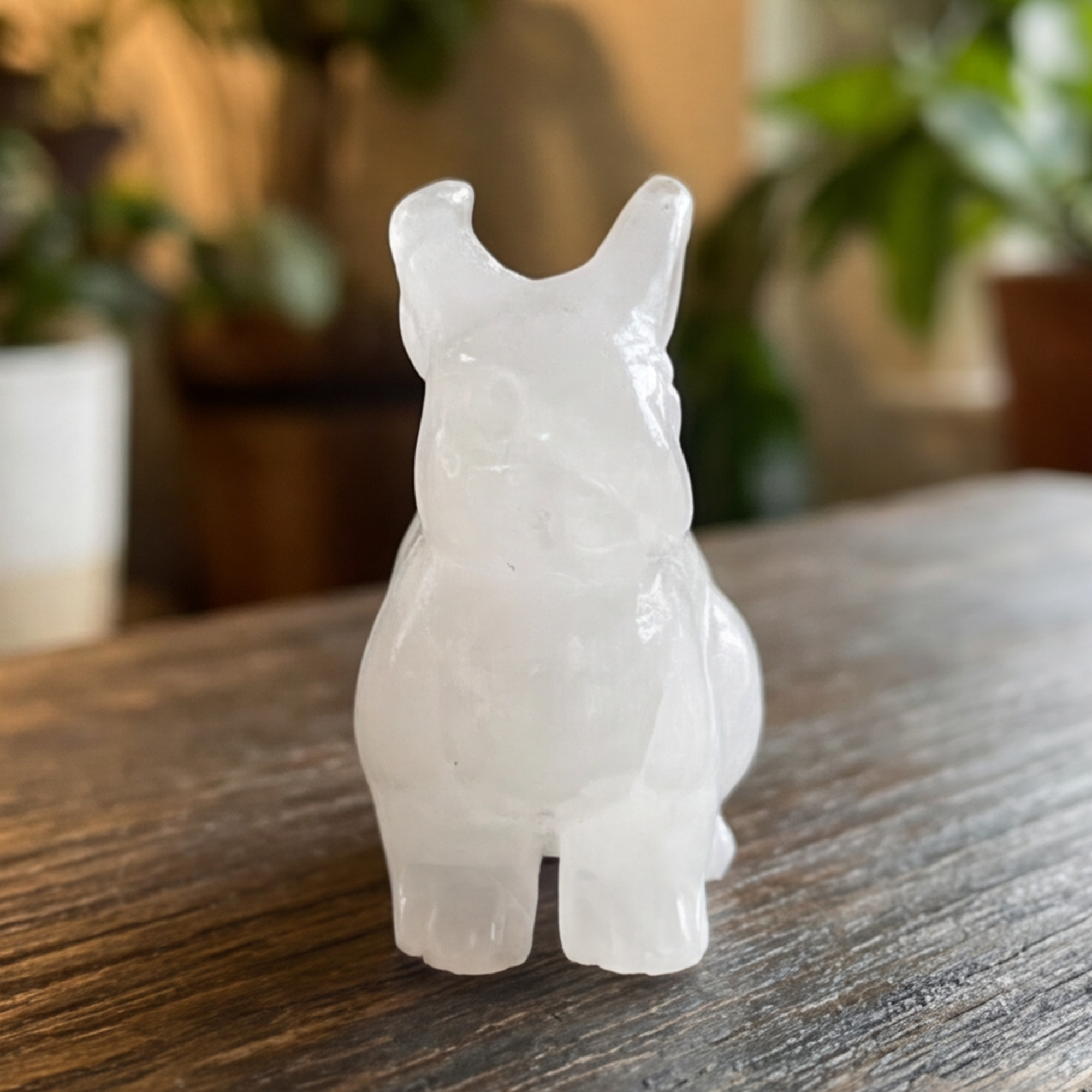 Angolan Quartz Rabbit Carving – Healing Crystal Animal
