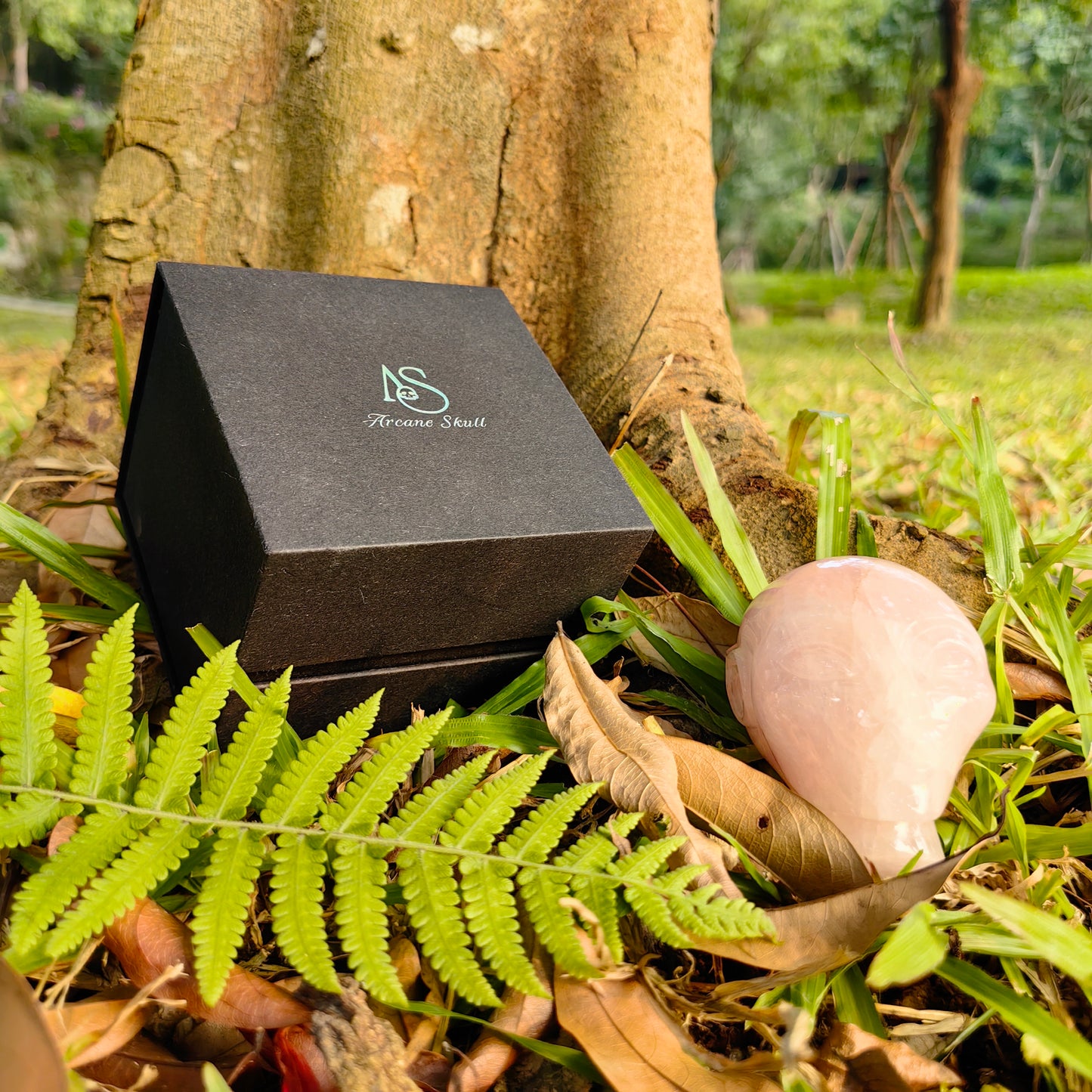 3.8 Inch Rose Quartz Alien Crystal Skull – Hand Carved Healing Stone