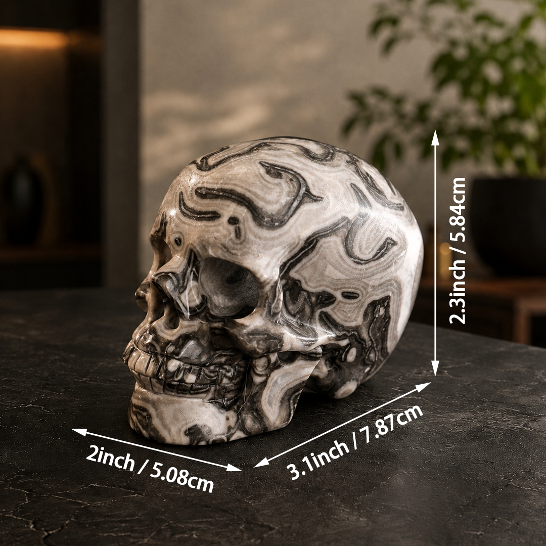 3 Inch Black Crazy Lace Agate Crystal Skull – Hand Carved Natural Stone