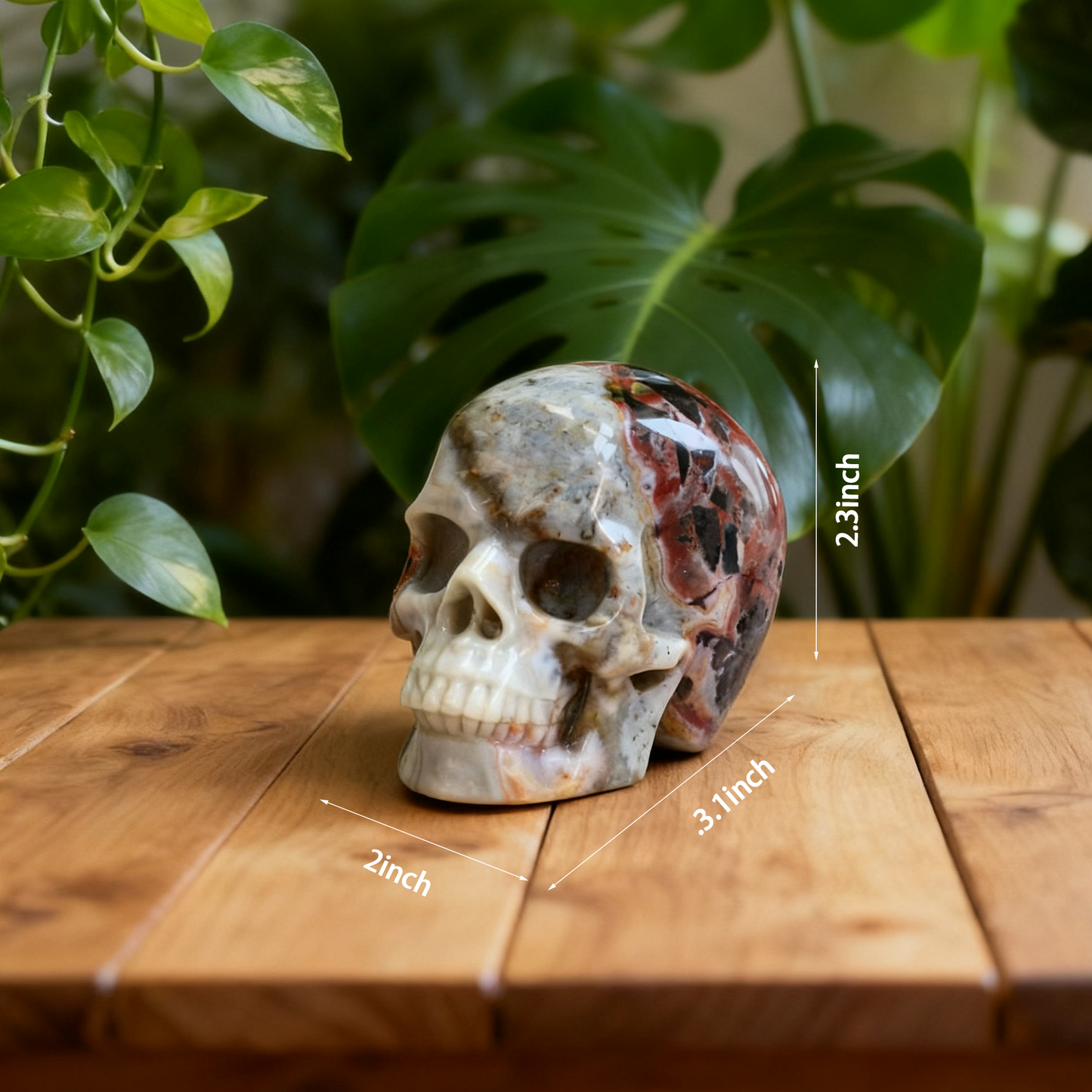 3 Inch Red Crazy Lace Agate Crystal Skull