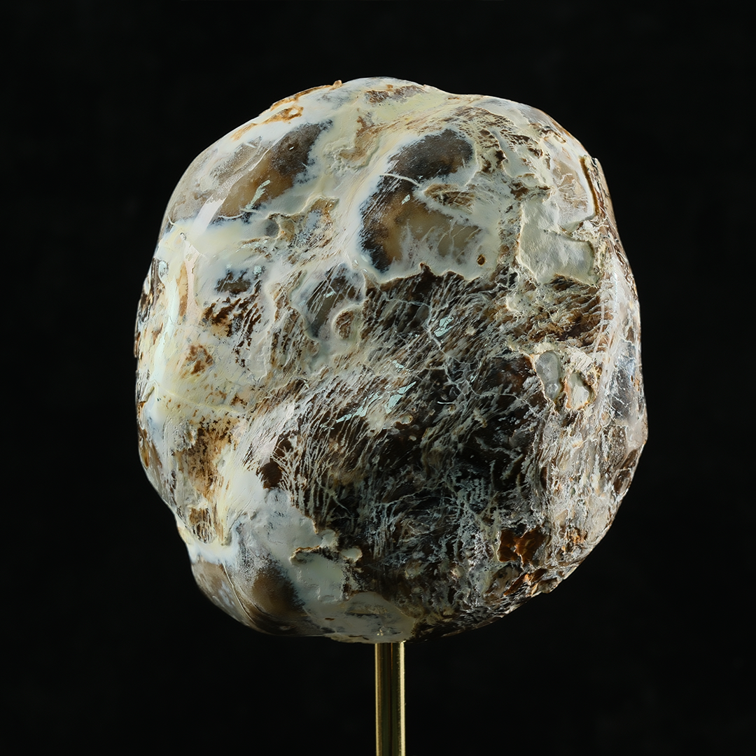 Blue Chalcedony Cave Carving Skull in Raw Crust - Hand Carved Natural Gemstone