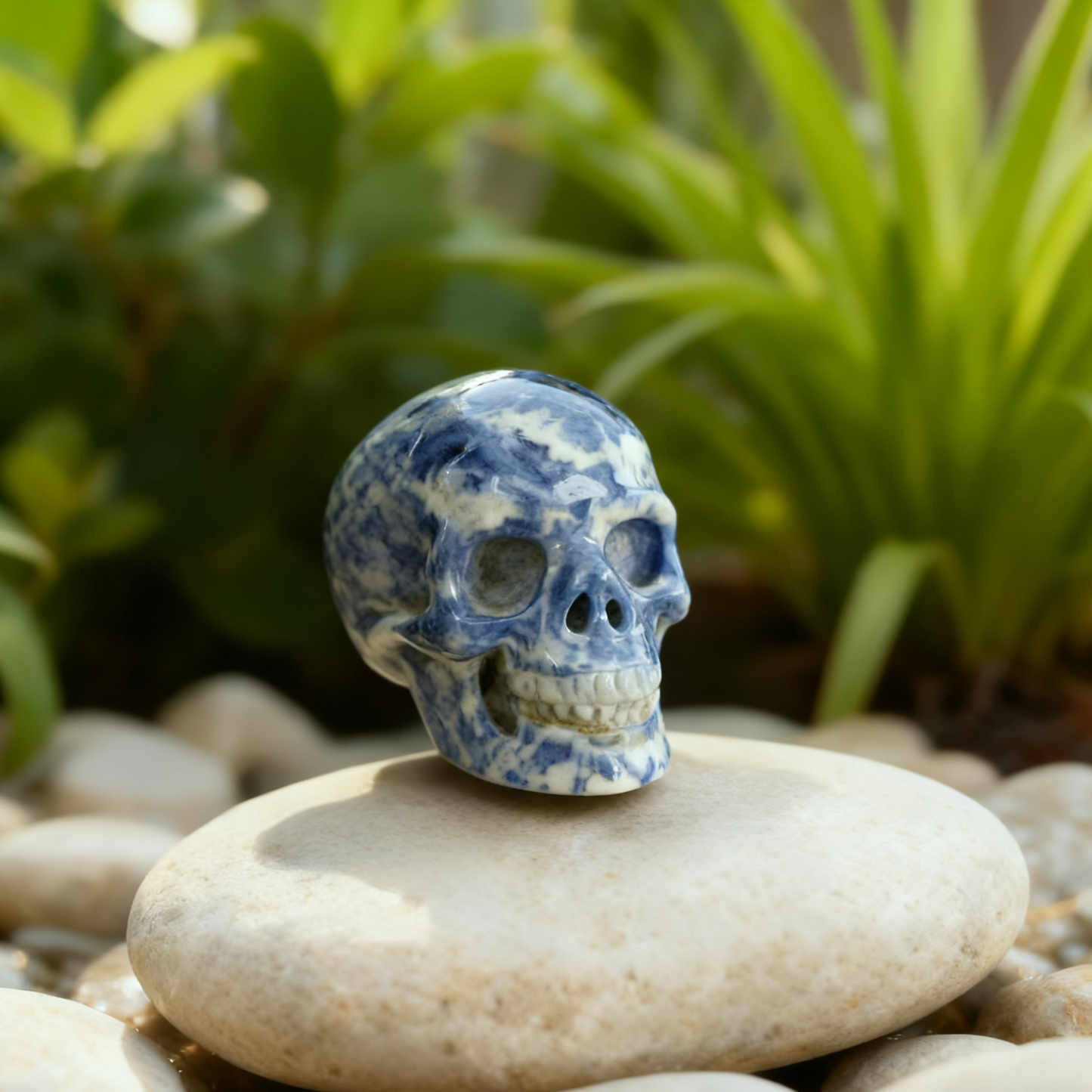 3 Inch Blue Lace Agate Crystal Skull