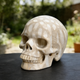 3 Inch Coral Fossil Crystal Skull – Hand Carved Natural Stone