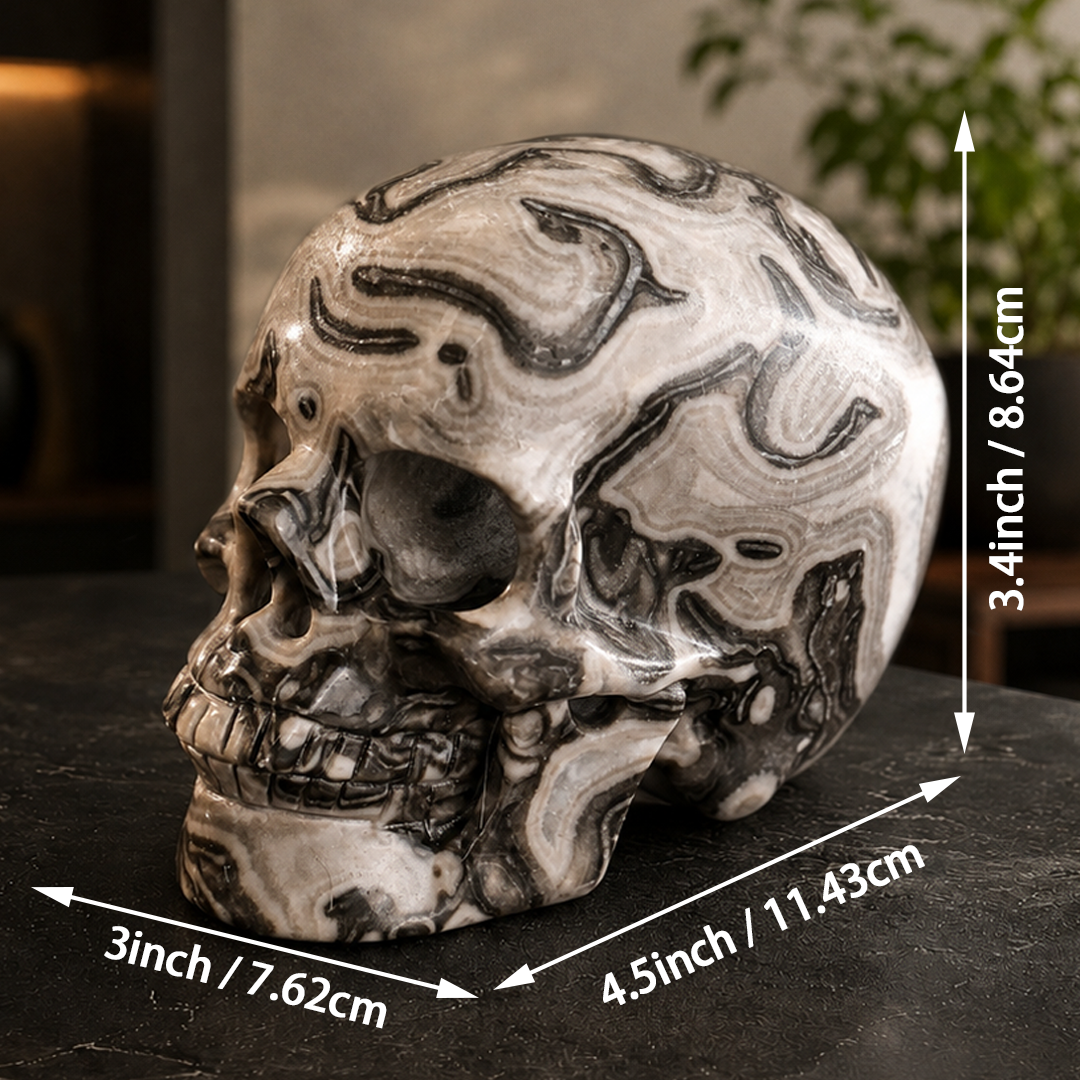 4.5 Inch Black Crazy Lace Agate Crystal Skull – Hand Carved Natural Stone