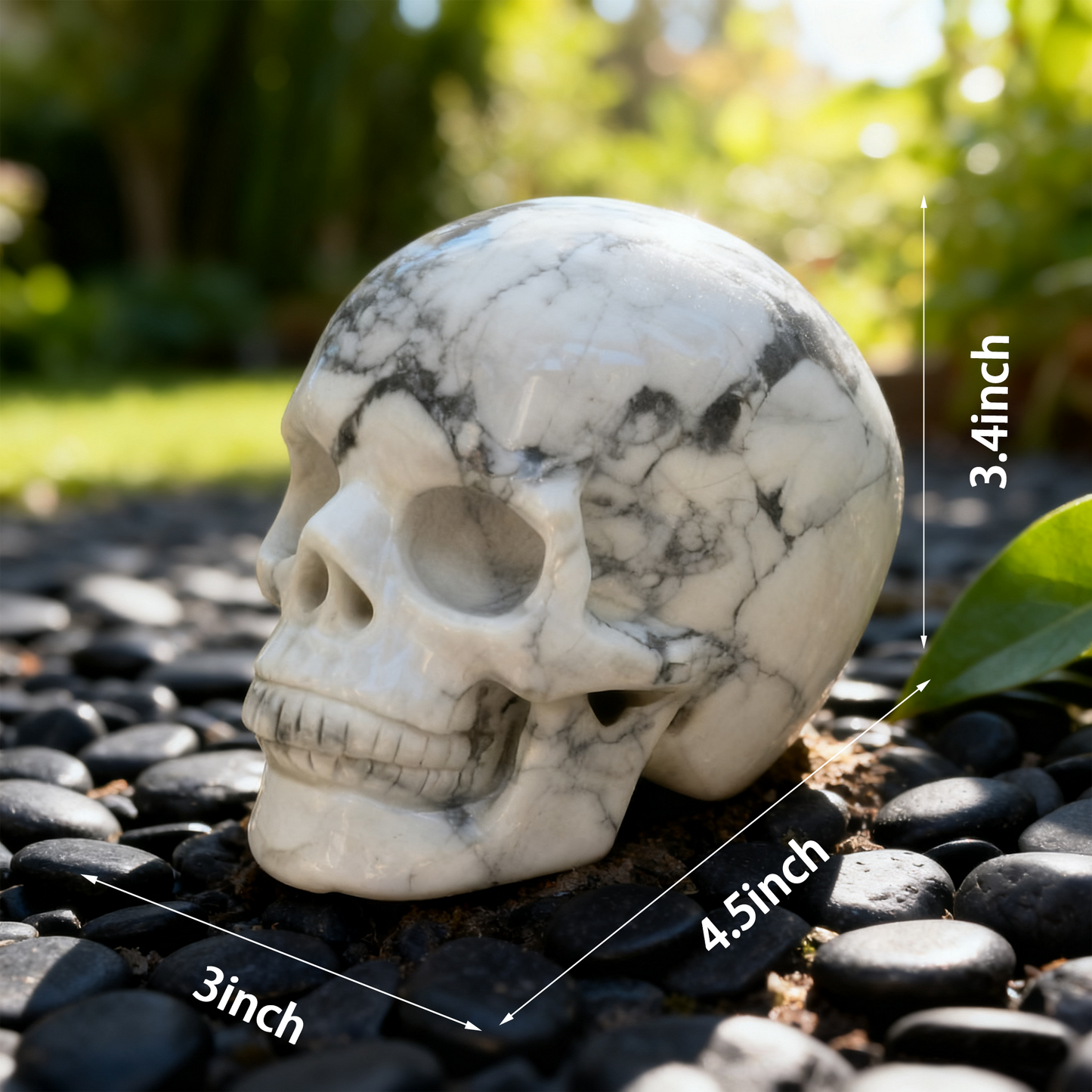 4.5 Inch White Howlite Turquoise Crystal Skull