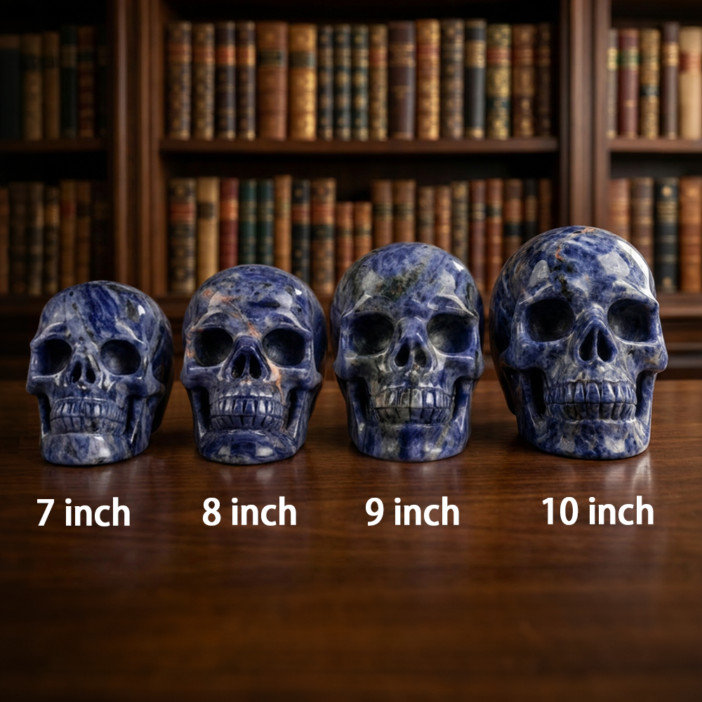 7-10 inch Blue Lace Agate Skull - Titan Series Large Scale Crystal Skull