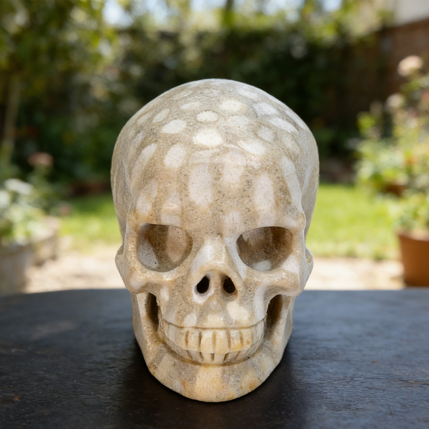 3 Inch Coral Fossil Crystal Skull – Hand Carved Natural Stone