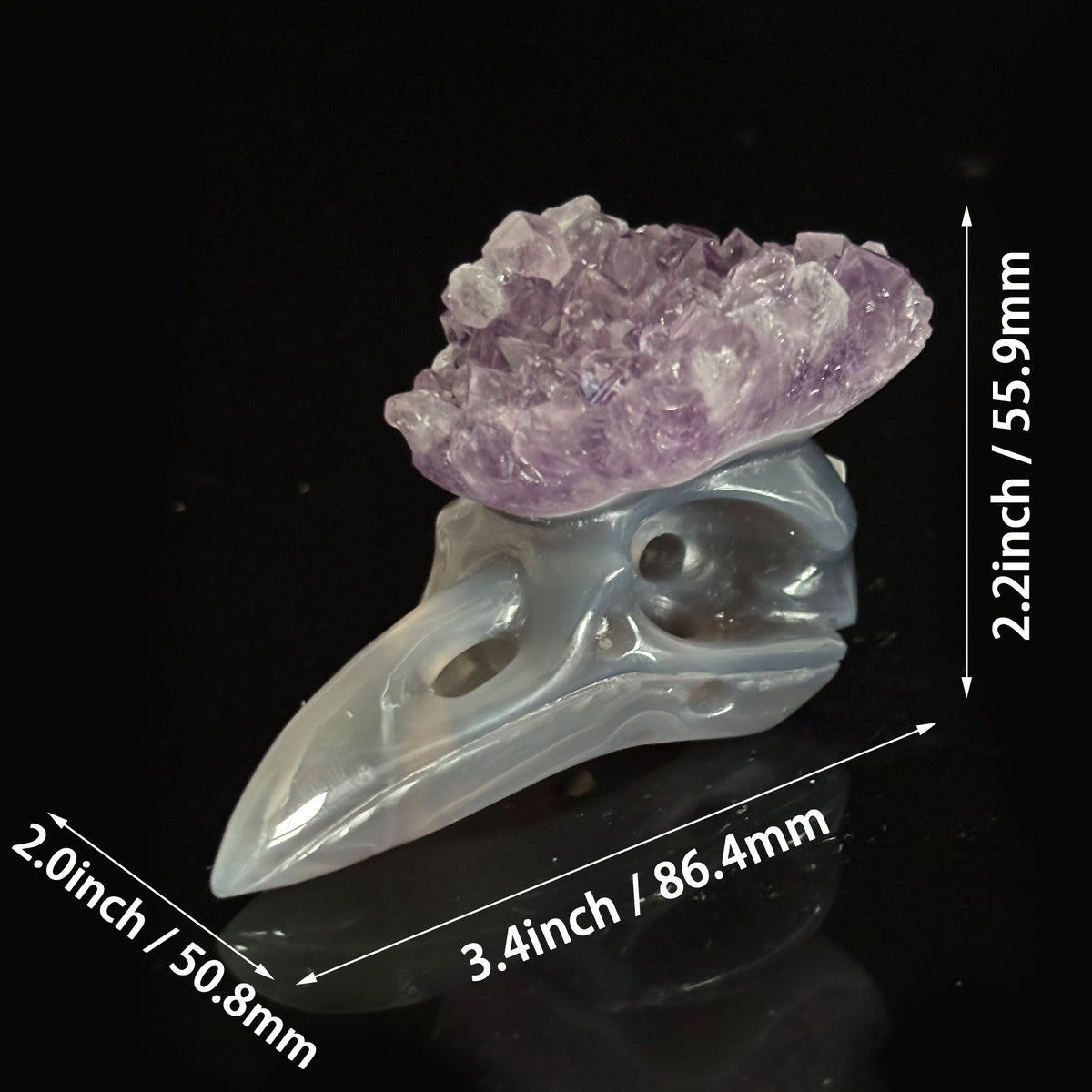 Amethyst Cluster Raven skull sculpture with size measurements