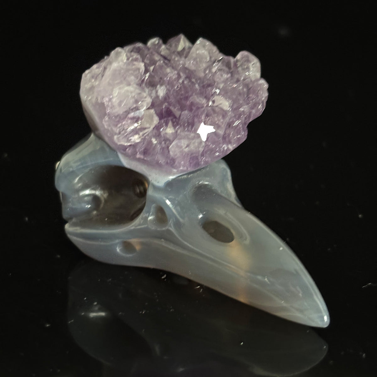 Amethyst Cluster Raven skull sculpture