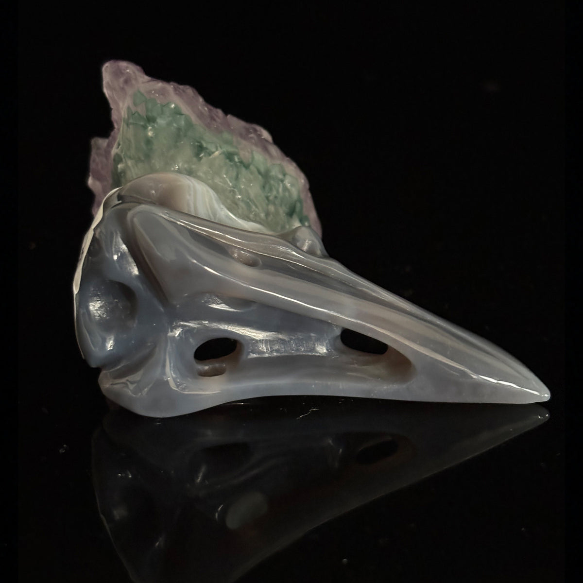 Amethyst Cluster Raven skull sculpture