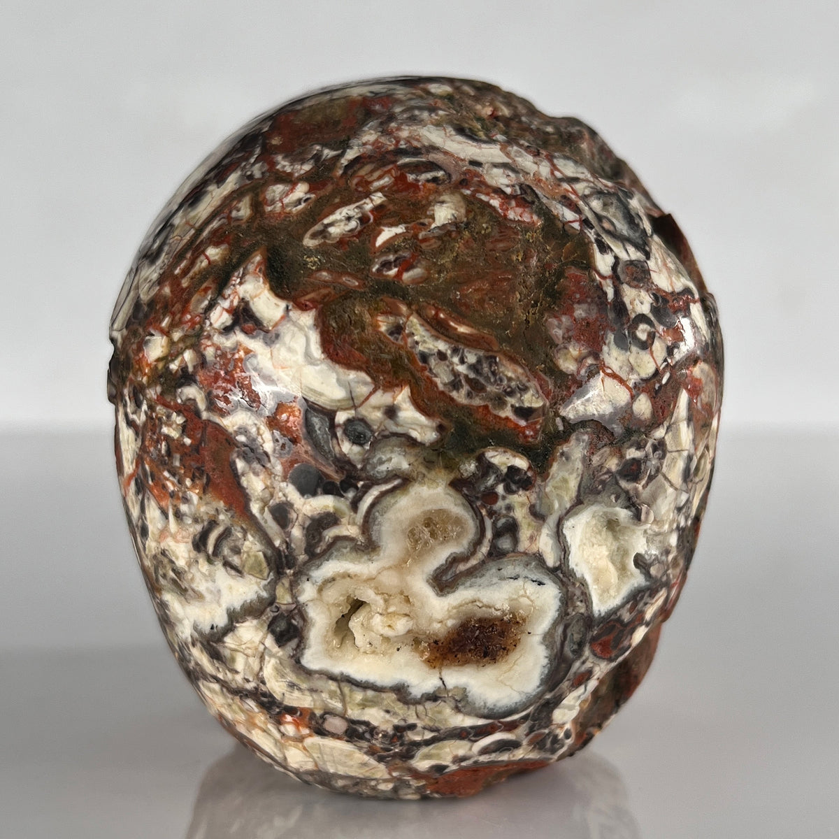 5" Money Agate Crystal Skull