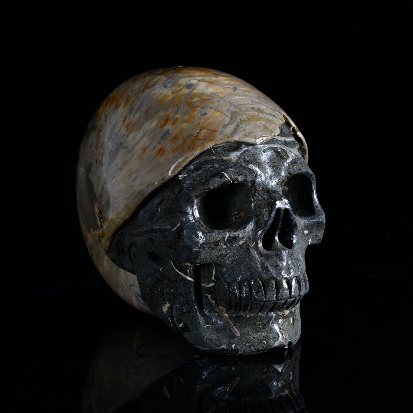 ‘Ocean’s Memory’ - Iridescent Ammonite Fossil with Carved Skull · Specimen No. 20