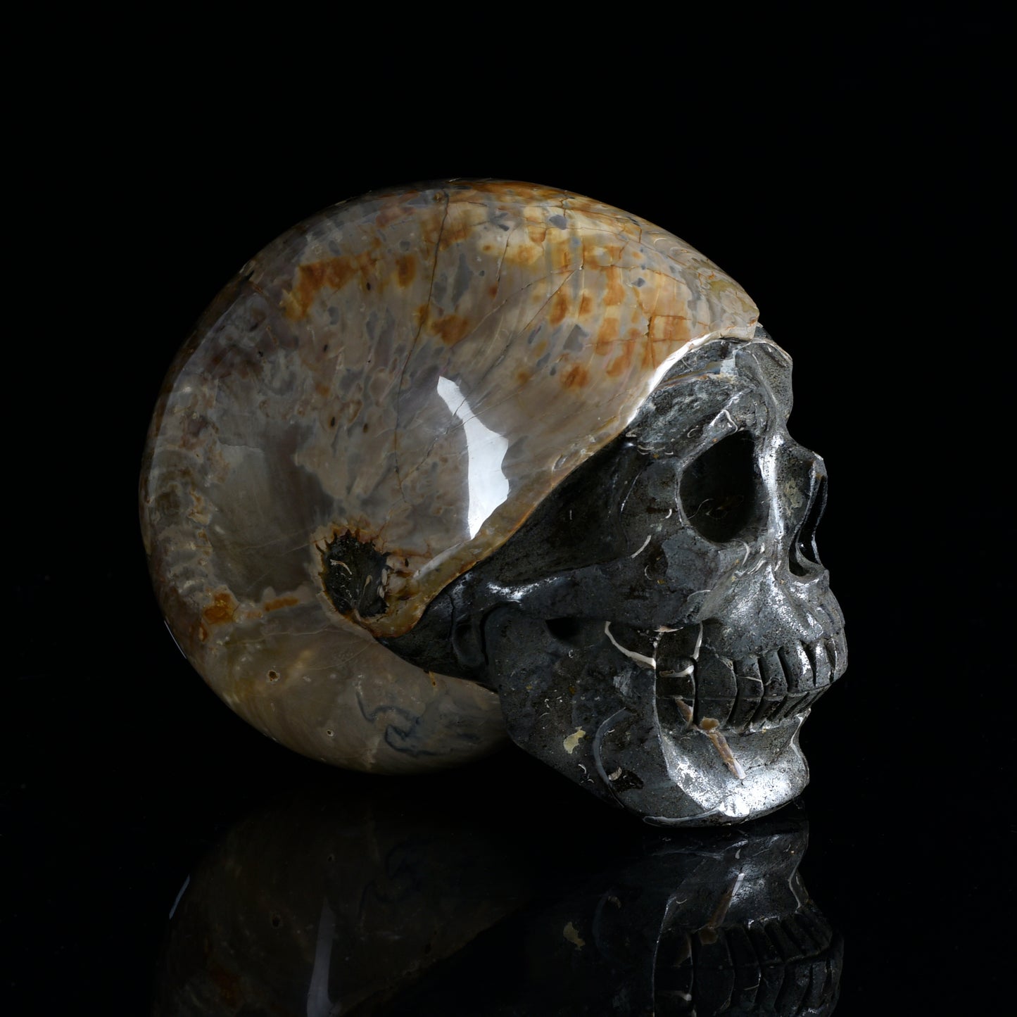‘Ocean’s Memory’ - Iridescent Ammonite Fossil with Carved Skull · Specimen No. 20