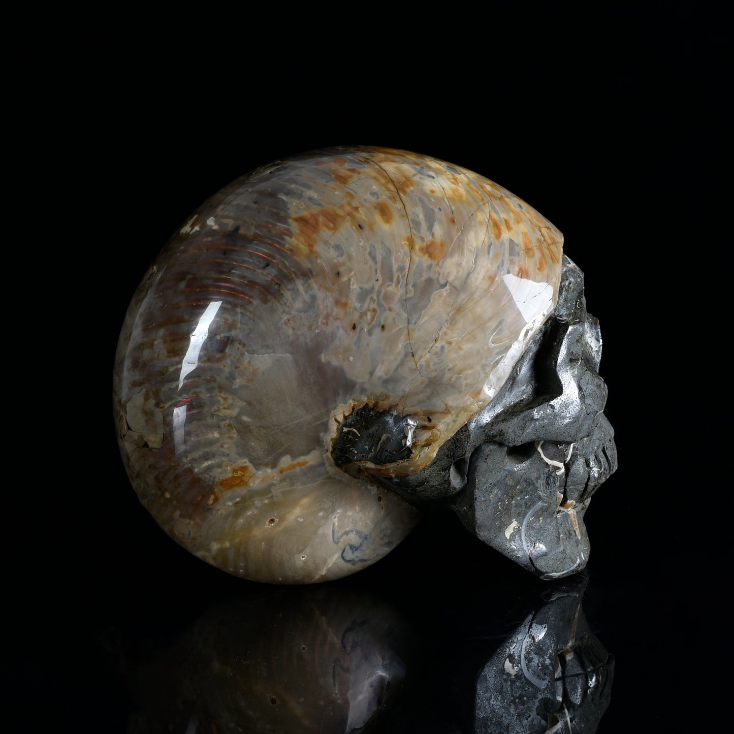 ‘Ocean’s Memory’ - Iridescent Ammonite Fossil with Carved Skull · Specimen No. 20