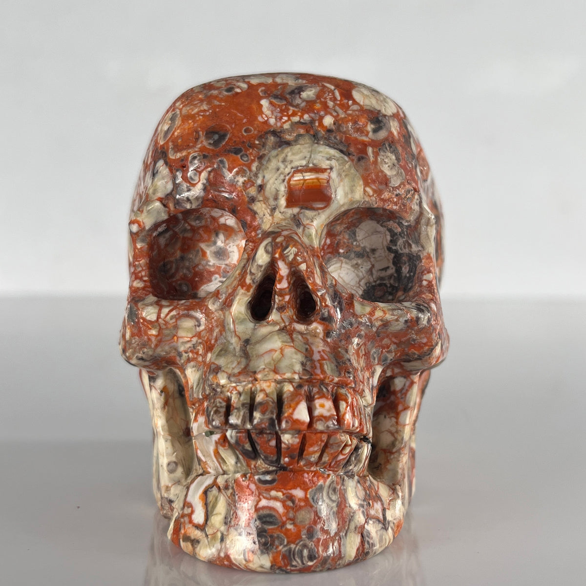 5" Money Agate Crystal Skull