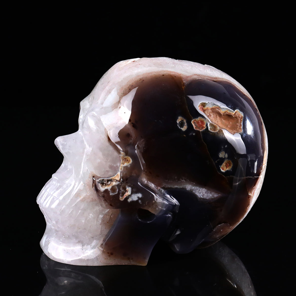 ‘Organic Mindscape’ - Agate Skull with Raw Geode Pocket · Specimen No. 34