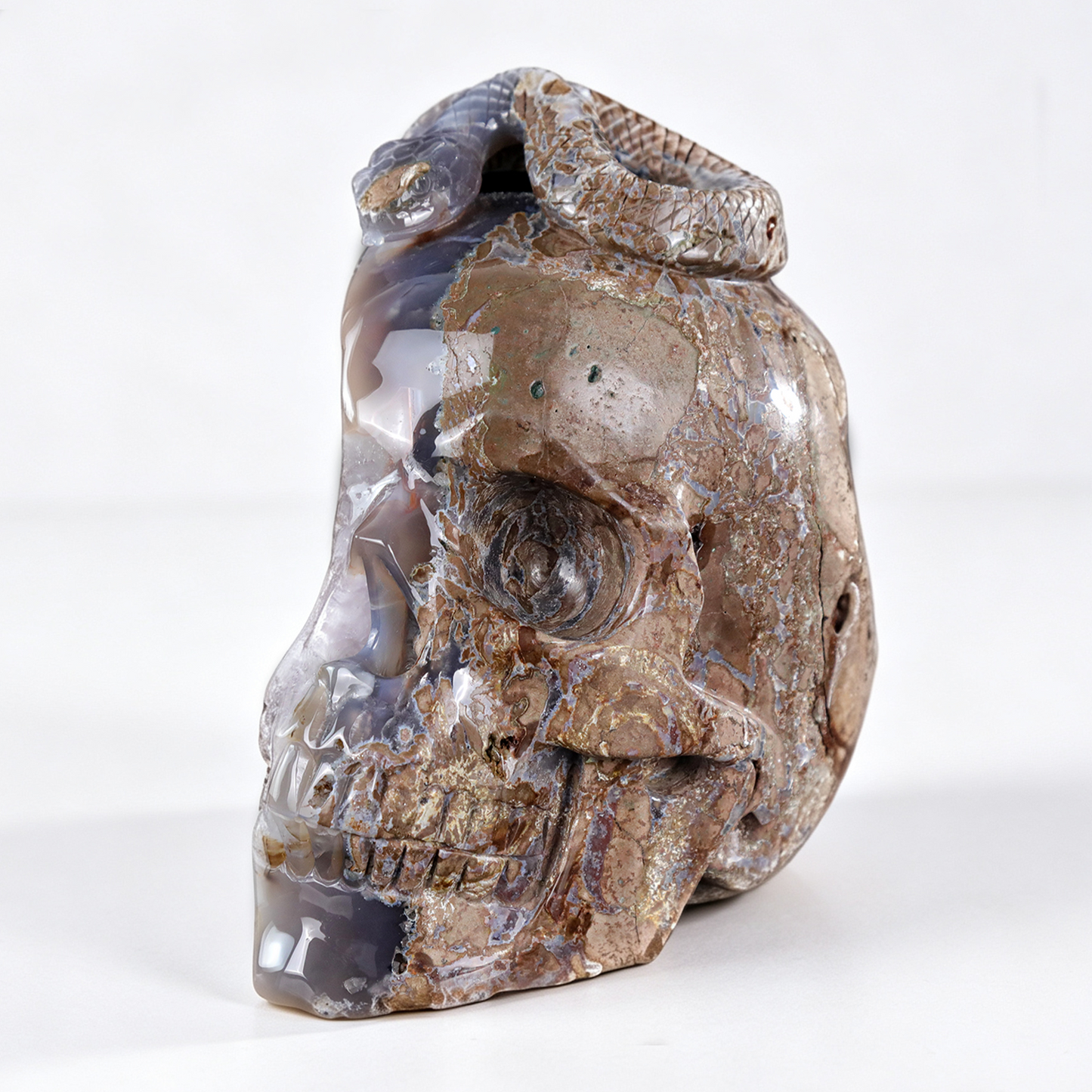 ‘Serpent’s Sanctuary’ - Amethyst Geode Skull with Serpent · Specimen No. 14