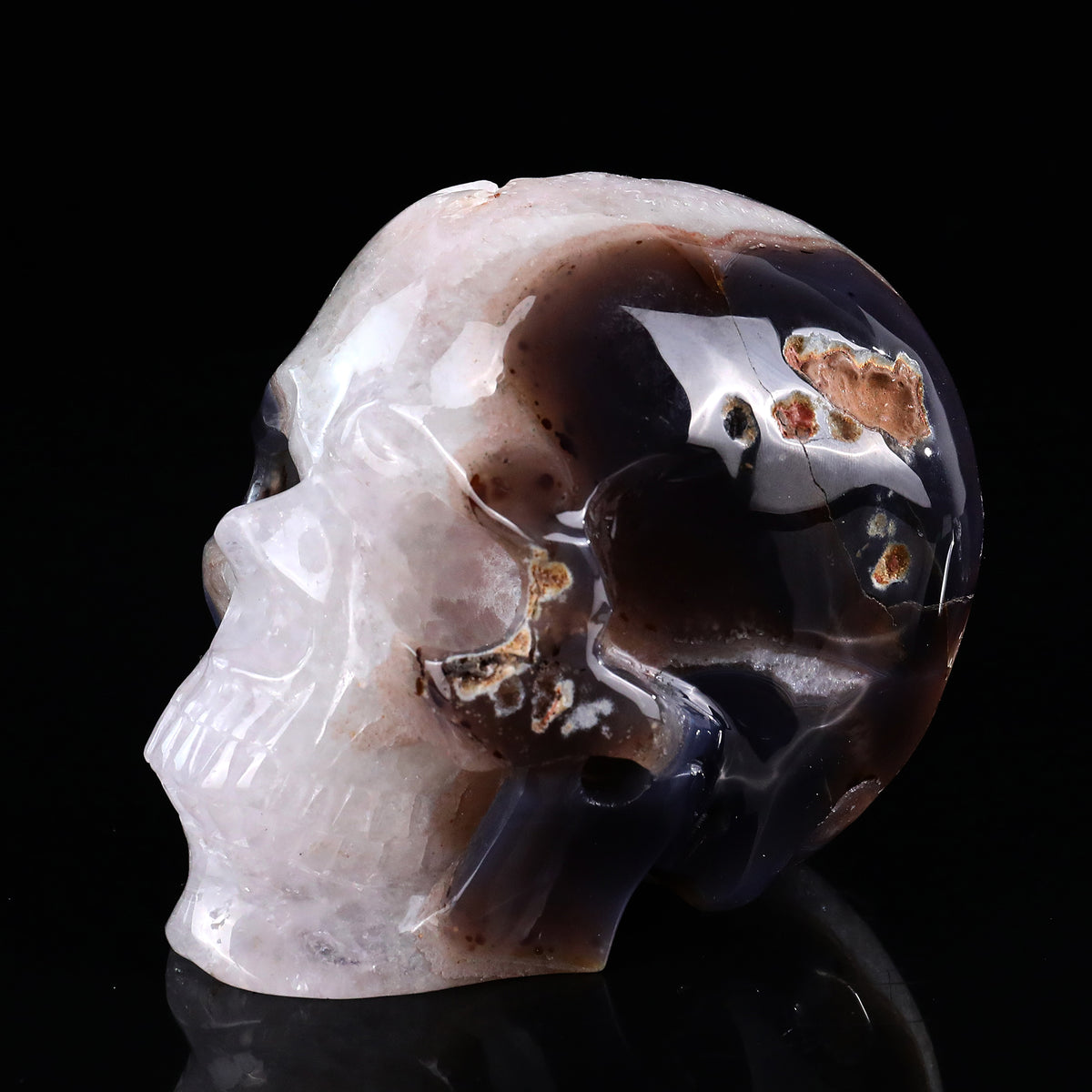 ‘Organic Mindscape’ - Agate Skull with Raw Geode Pocket · Specimen No. 34