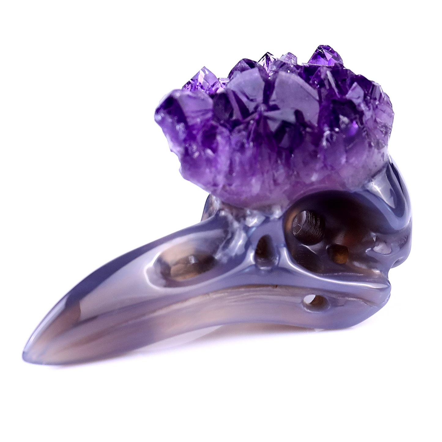 ‘The Purple Crown’ - Amethyst Cluster Raven Skull · Specimen No. 32