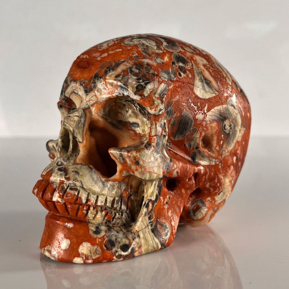 4.5" Money Agate Crystal Skull - Pattern A