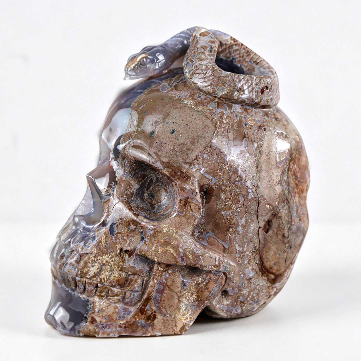 ‘Serpent’s Sanctuary’ - Amethyst Geode Skull with Serpent · Specimen No. 14