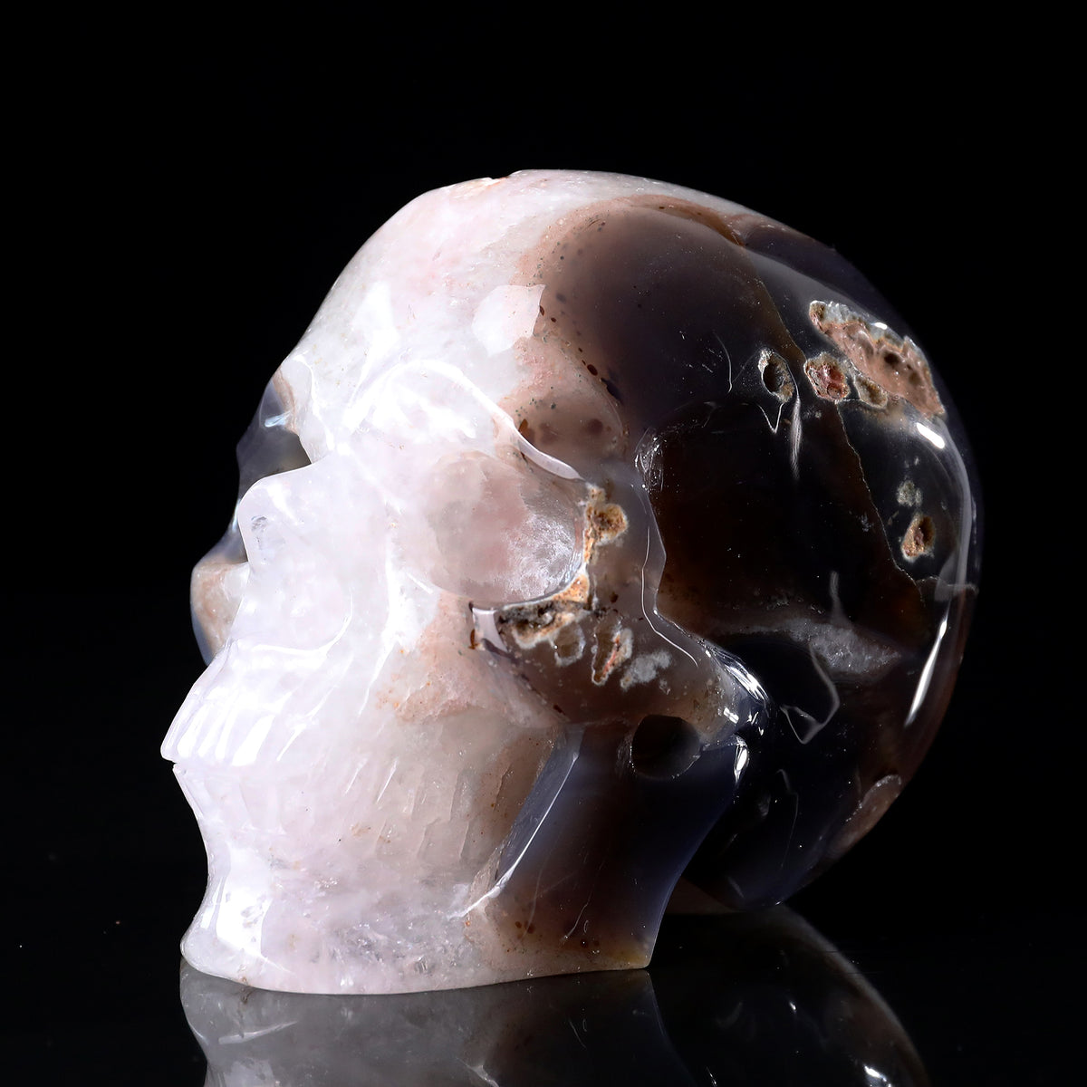 ‘Organic Mindscape’ - Agate Skull with Raw Geode Pocket · Specimen No. 34