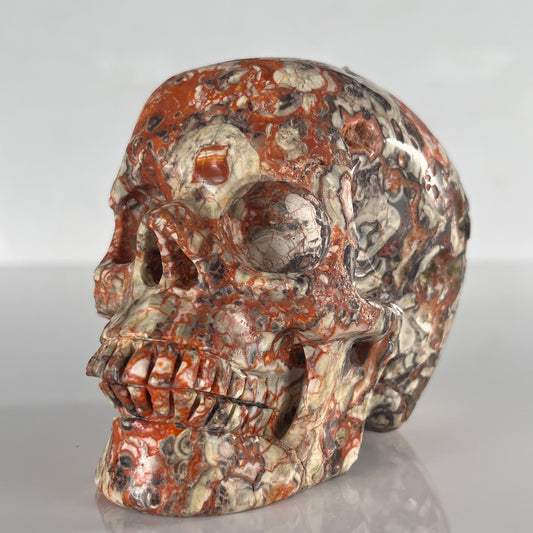 5" Money Agate Crystal Skull