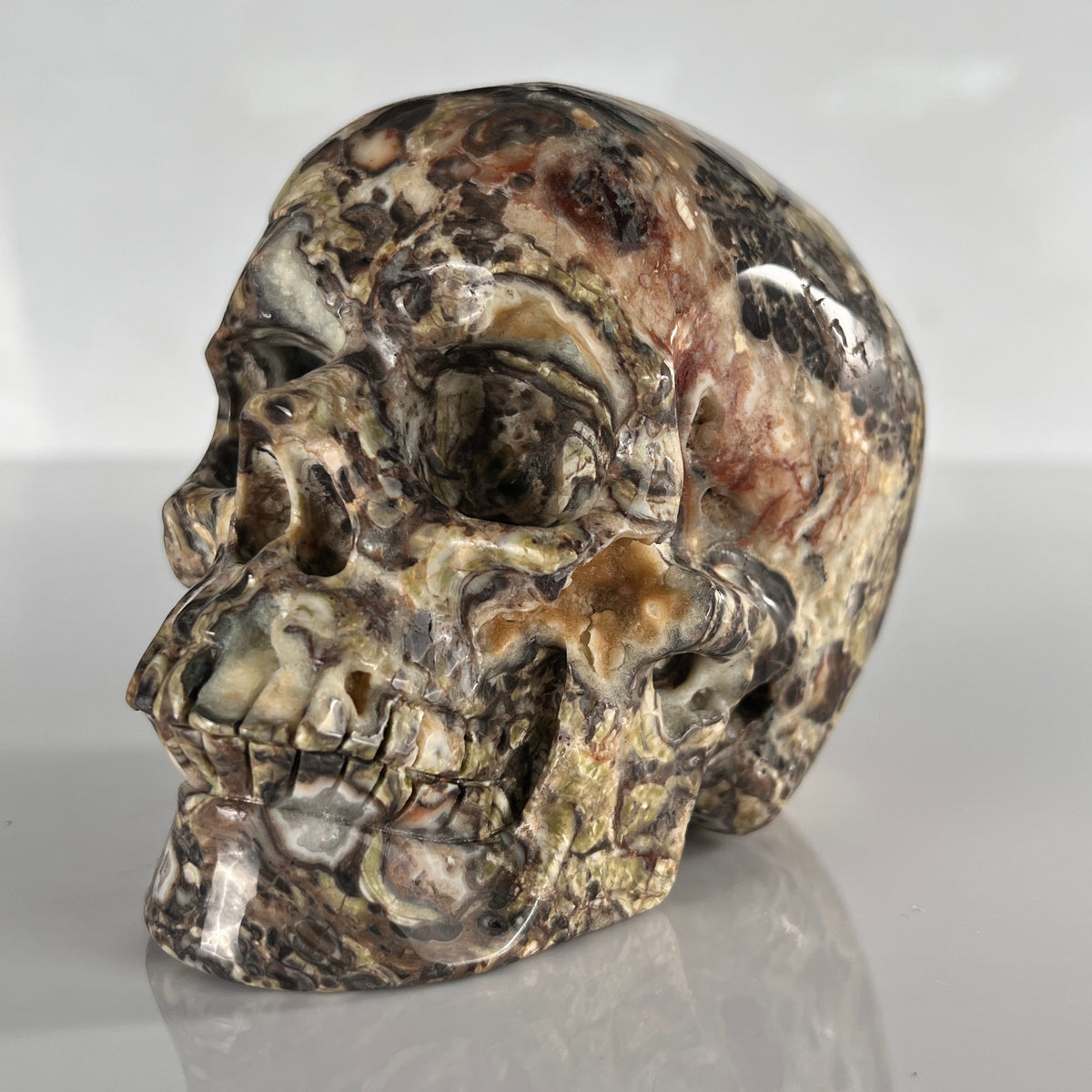 4.5" Money Agate Crystal Skull - Pattern B
