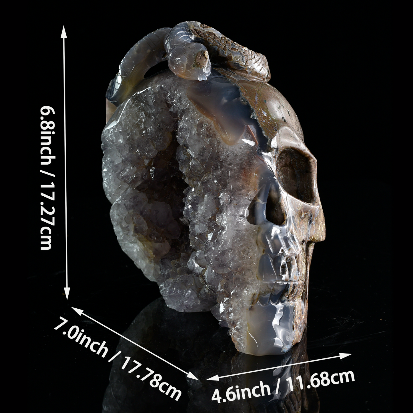 ‘Serpent’s Sanctuary’ - Amethyst Geode Skull with Serpent · Specimen No. 14