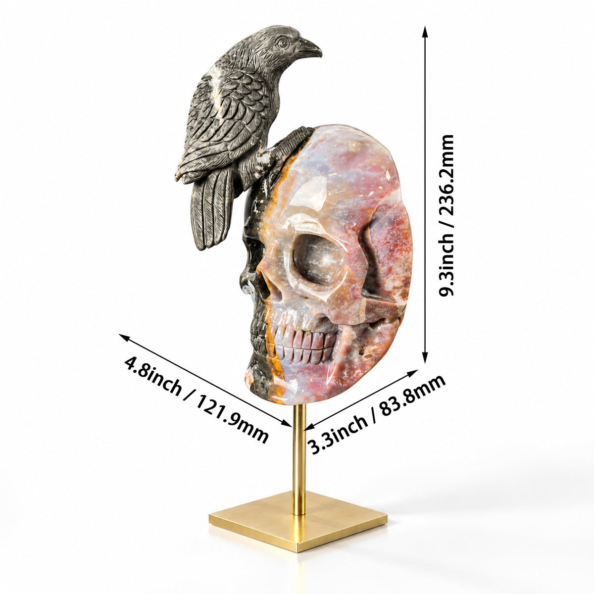 The Twofold Witness — Indian Agate Human Skull & Raven Sculpture · Specimen No. 61