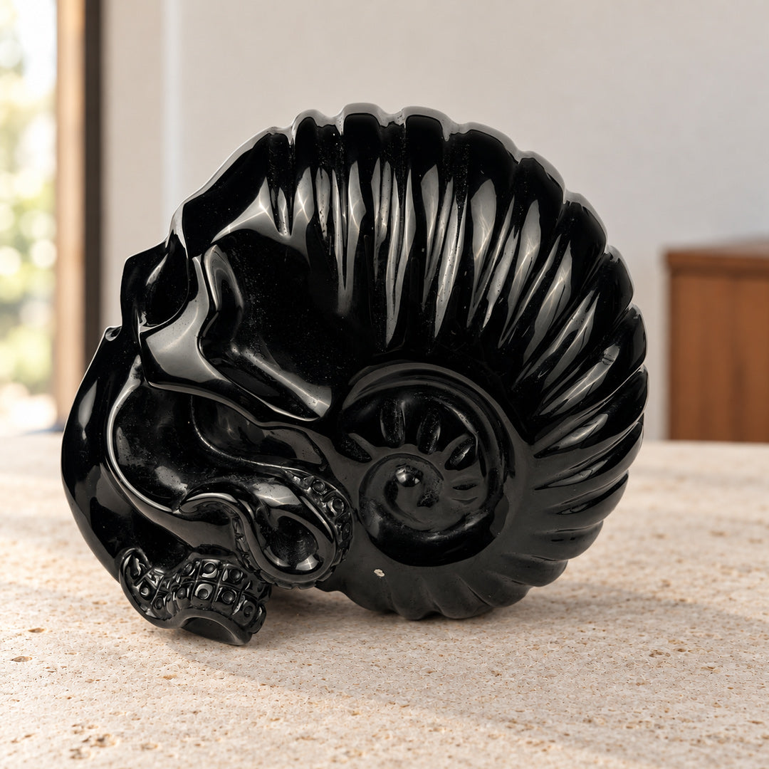 Black Obsidian Ammonite Octopus Skull